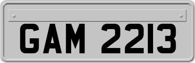GAM2213
