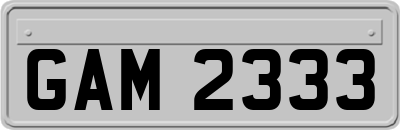 GAM2333