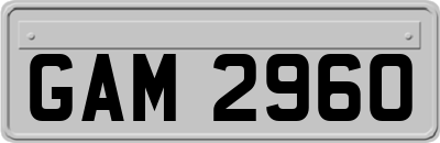 GAM2960