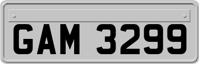 GAM3299