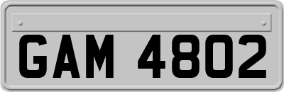 GAM4802