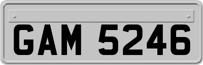 GAM5246