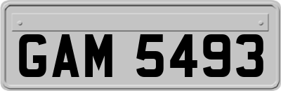 GAM5493
