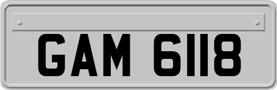 GAM6118