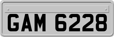 GAM6228