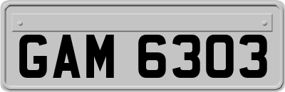 GAM6303