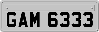 GAM6333