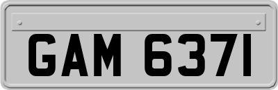 GAM6371