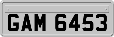 GAM6453