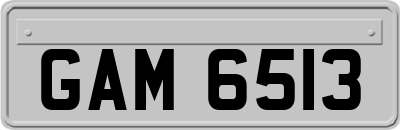 GAM6513