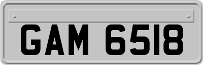 GAM6518