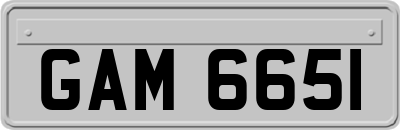 GAM6651