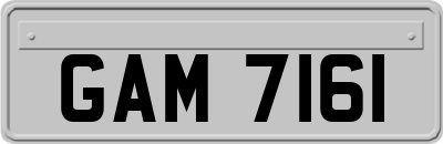 GAM7161