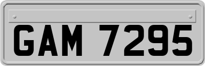 GAM7295