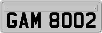 GAM8002