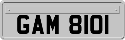 GAM8101