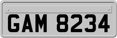 GAM8234