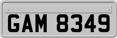 GAM8349