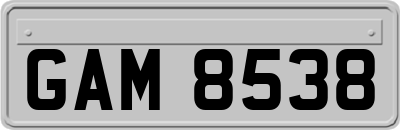 GAM8538