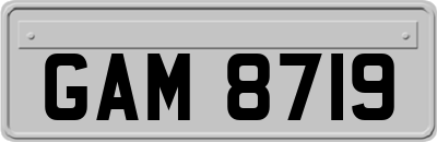GAM8719