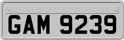 GAM9239