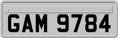 GAM9784