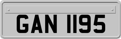GAN1195