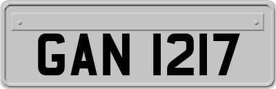 GAN1217