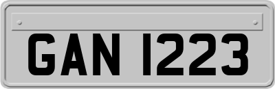 GAN1223