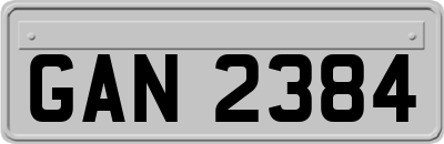 GAN2384