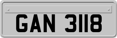 GAN3118