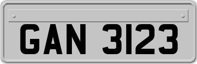 GAN3123