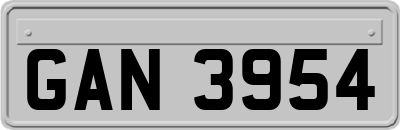 GAN3954
