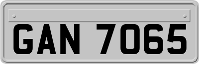 GAN7065