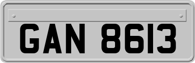GAN8613
