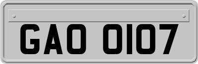 GAO0107
