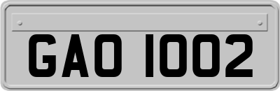 GAO1002