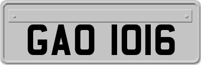GAO1016