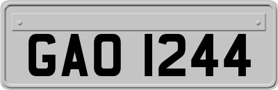 GAO1244