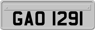 GAO1291