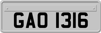 GAO1316