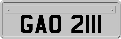 GAO2111