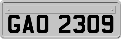 GAO2309