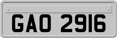 GAO2916