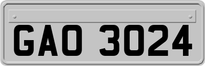 GAO3024