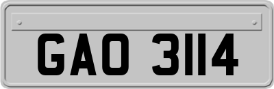 GAO3114