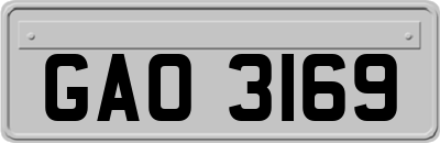 GAO3169