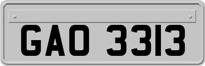 GAO3313