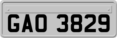 GAO3829