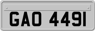 GAO4491
